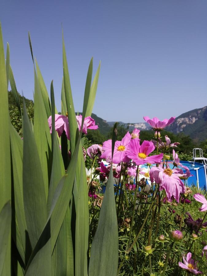 Villa Au chalet d'Anna Saint-Rambert-en-Bugey Exterior foto