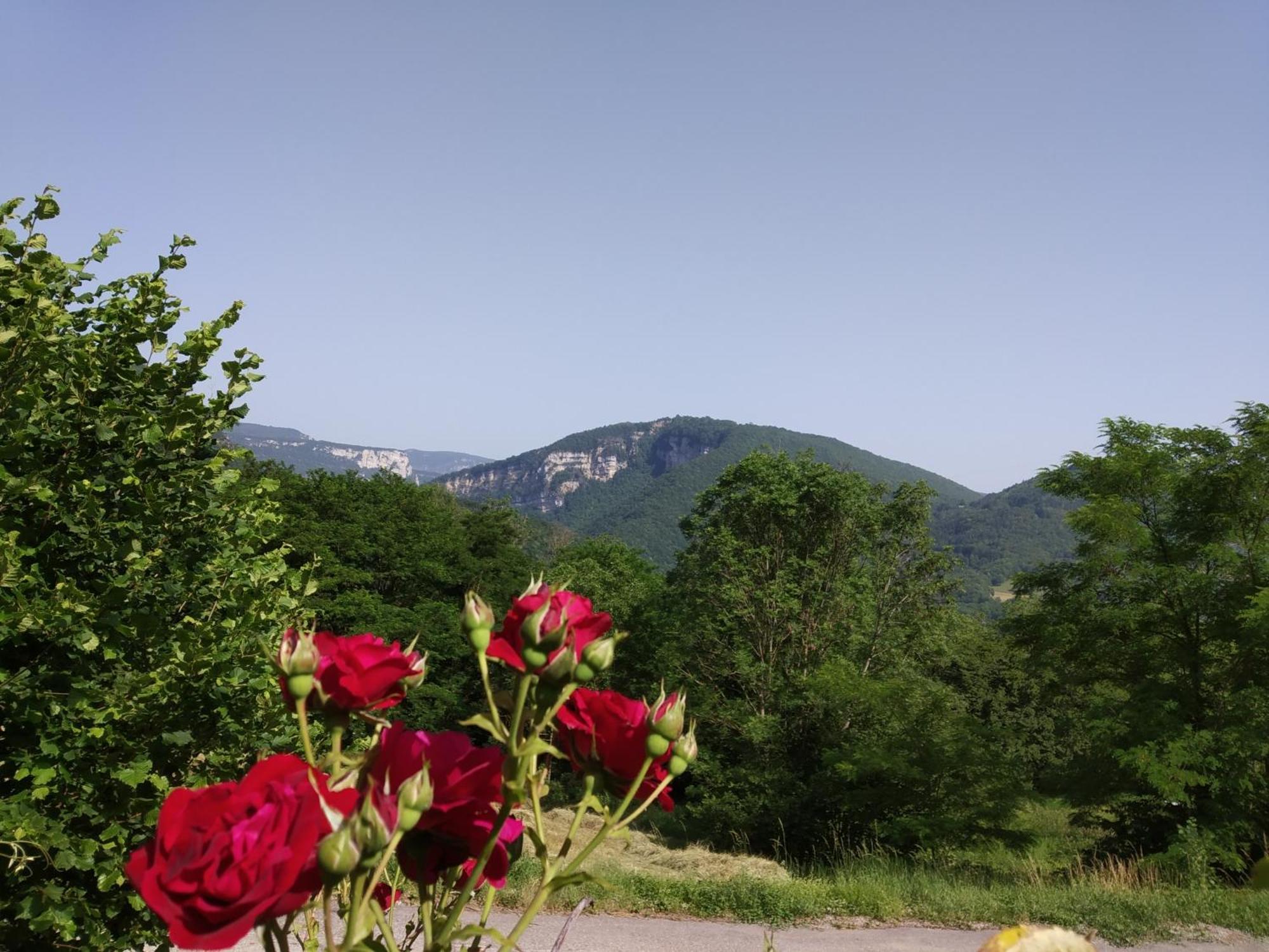 Au chalet d'Anna Saint-Rambert-en-Bugey Exterior foto