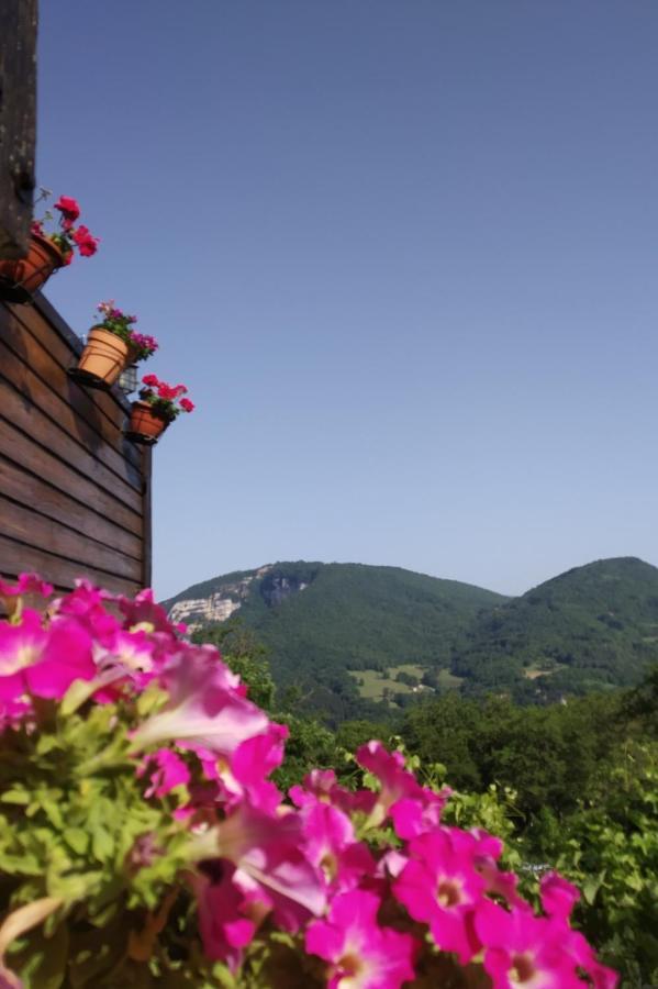 Villa Au chalet d'Anna Saint-Rambert-en-Bugey Exterior foto